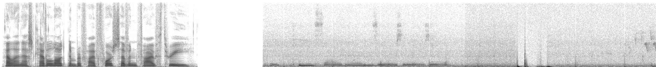 Northern Cardinal - ML54753