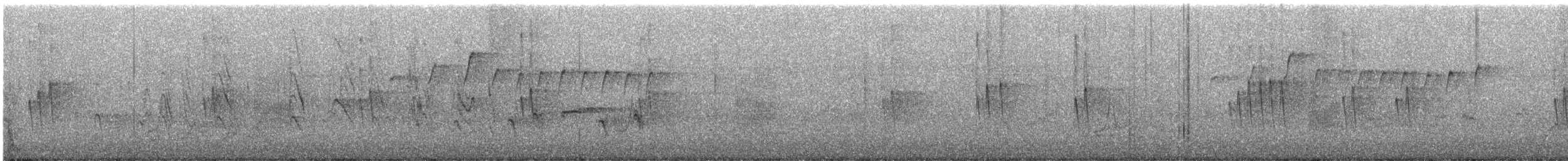 stripeedderkoppjeger - ML547539681