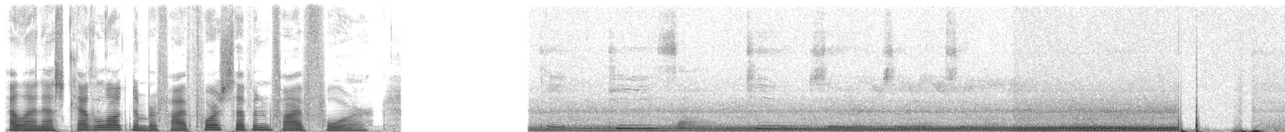 Northern Cardinal - ML54754