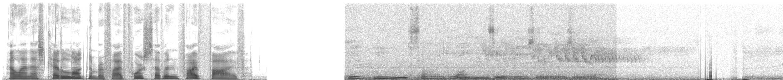 Northern Cardinal - ML54755