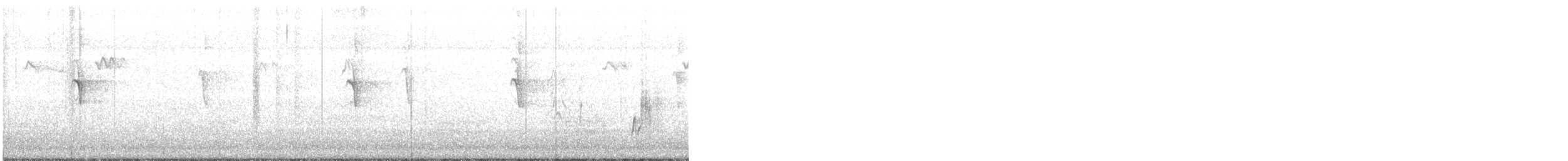 White-plumed Honeyeater - ML547552181