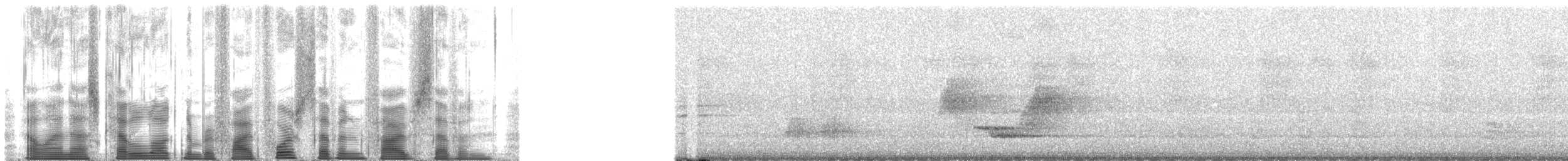 Northern Cardinal - ML54757