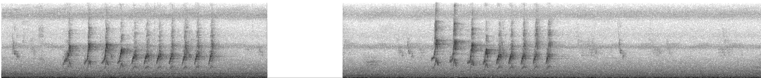 Silver-eared Honeyeater - ML547572201