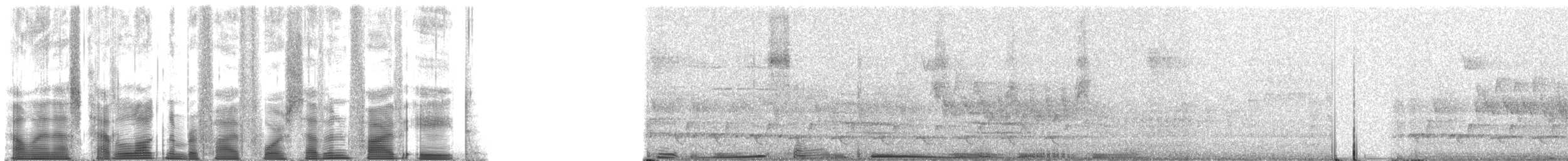 Northern Cardinal - ML54758