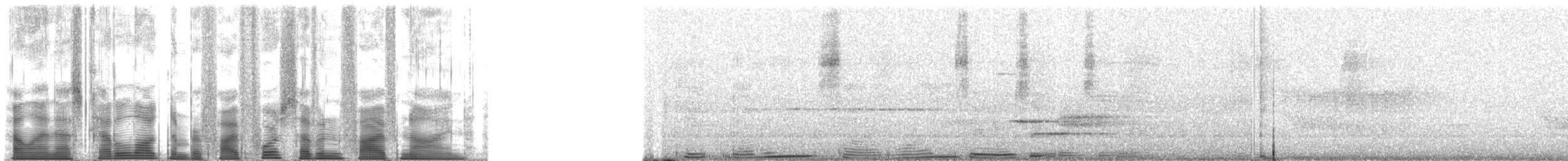 Northern Cardinal - ML54759