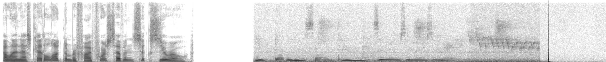 Northern Cardinal - ML54760