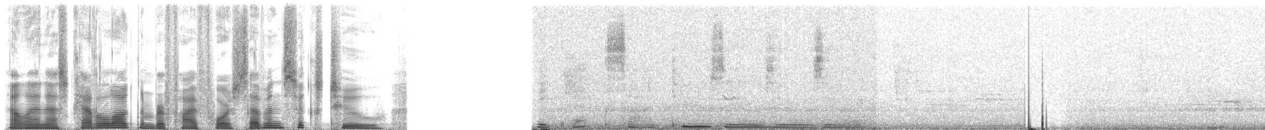 Northern Cardinal - ML54762