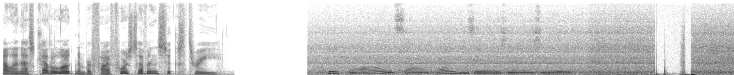 Northern Cardinal - ML54763