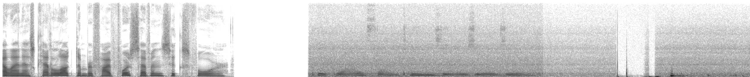 Northern Cardinal - ML54764