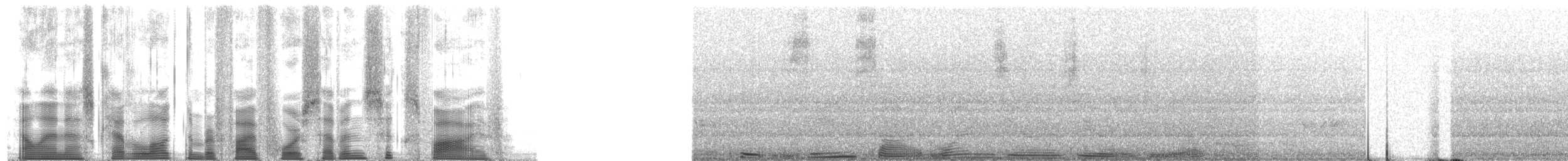 Northern Cardinal - ML54765