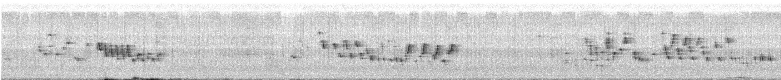 Northern House Wren - ML547655231