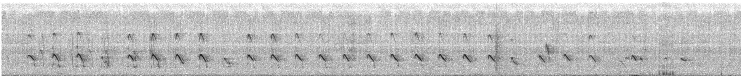 Lesser Yellowlegs - ML547656531