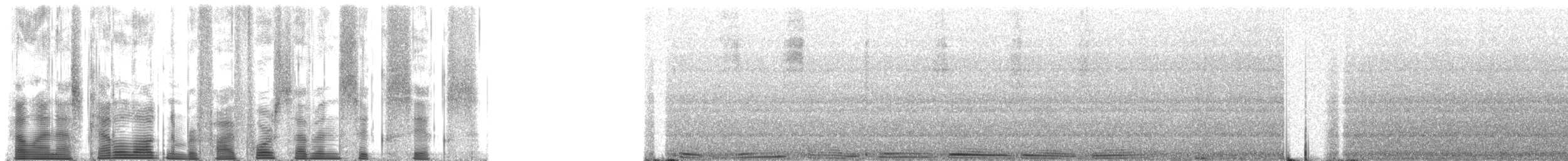 Northern Cardinal - ML54766