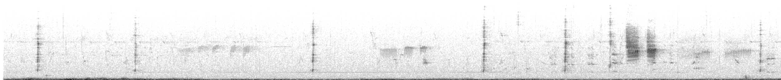 Savi's Warbler - ML547679251