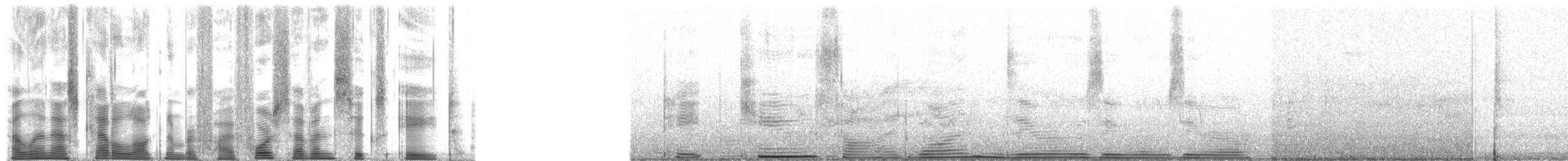 Northern Cardinal - ML54768