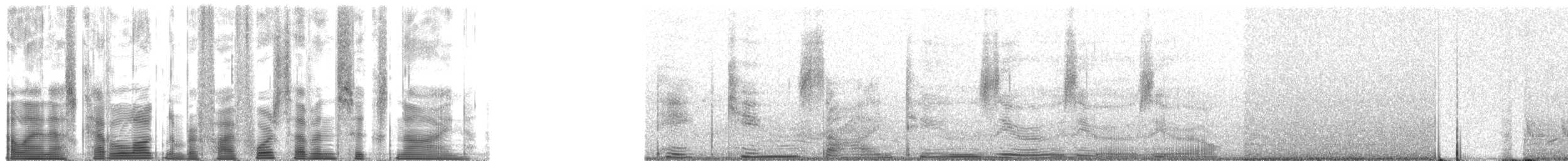 Northern Cardinal - ML54769