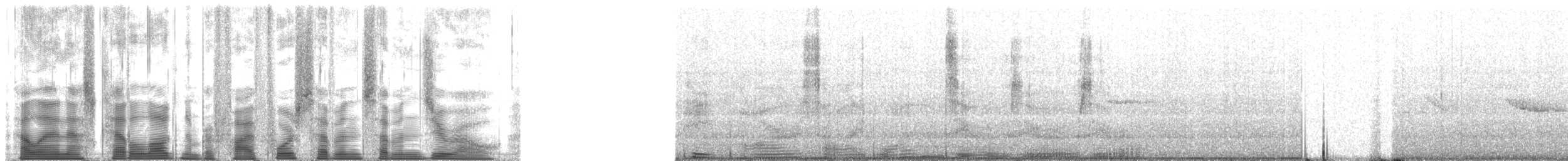 Northern Cardinal - ML54770