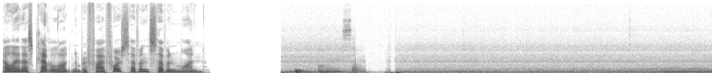 Northern Cardinal - ML54771