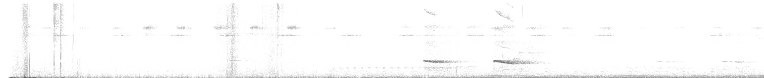 Braunrücken-Ameisenvogel - ML547715431