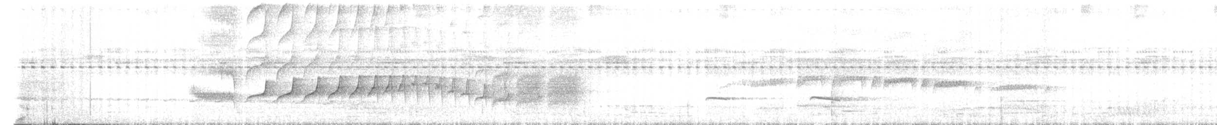 Weißkehl-Ameisenvogel - ML547721701