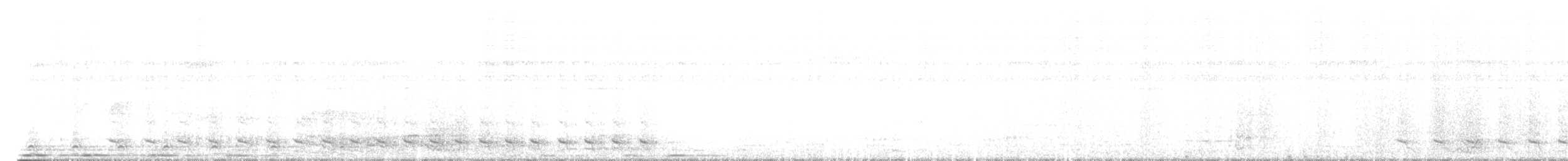 Белохвостый трогон - ML547725251