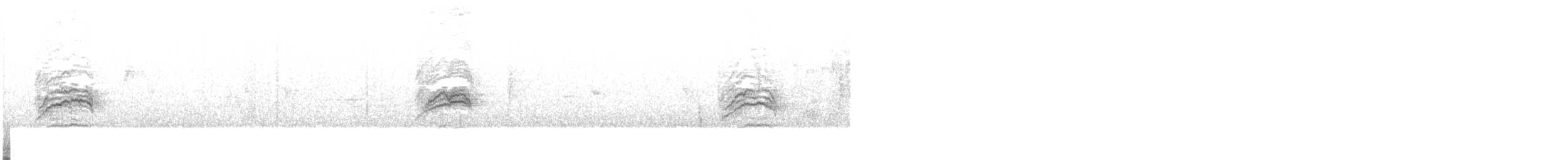 Дрізд-короткодзьоб плямистоволий - ML547772531