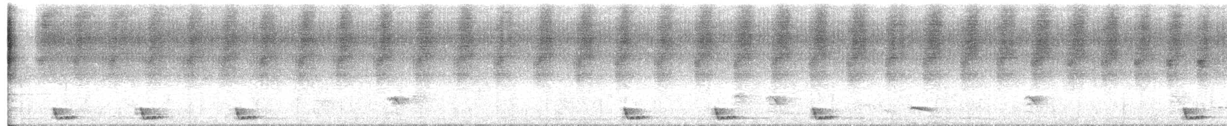Large-tailed Nightjar - ML547919181