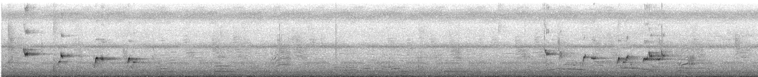 Willie-wagtail - ML547943491