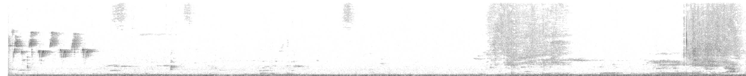 Соловьиная широкохвостка - ML547945181