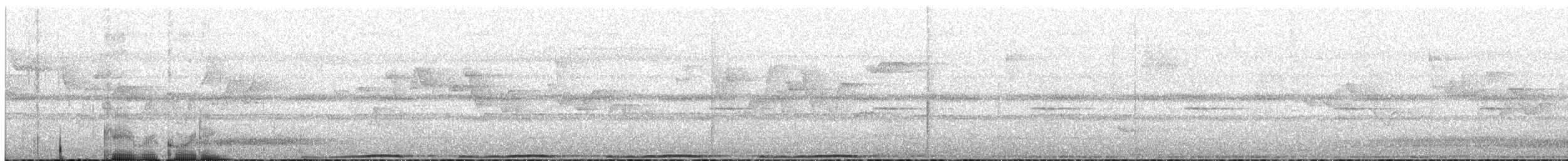 Zoe's Imperial-Pigeon - ML547946971