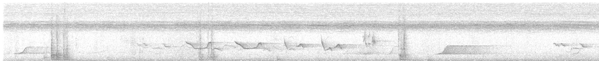 Pale-browed Tinamou - ML547962341