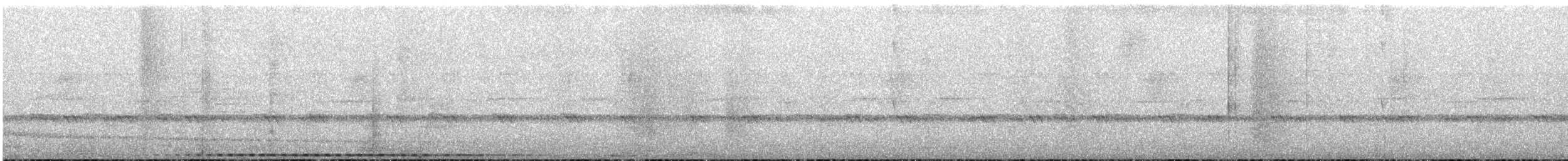 Curl-crested Manucode - ML547999841