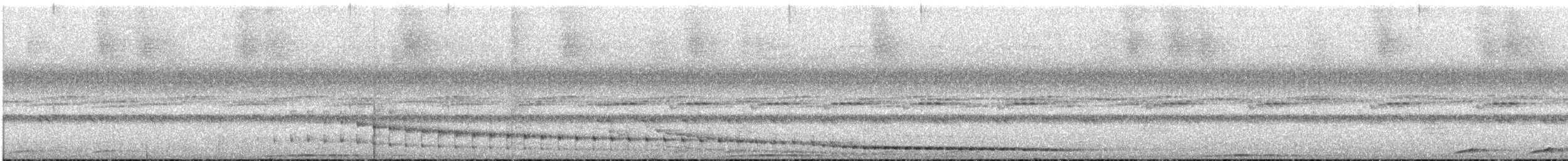 Curl-crested Manucode - ML547999851