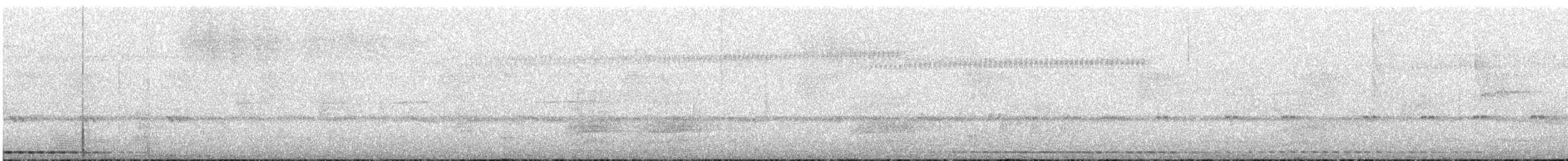 Curl-crested Manucode - ML548005421