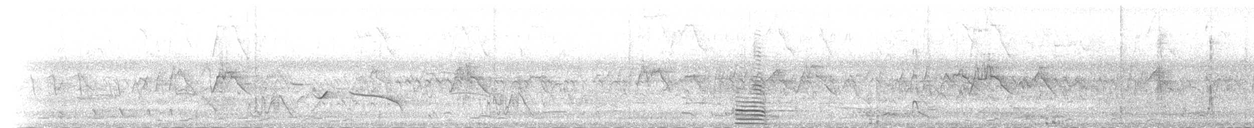 husovec strakatý - ML54805941