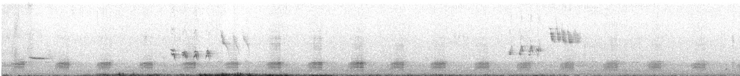 Зэрлэг нугас - ML548062331