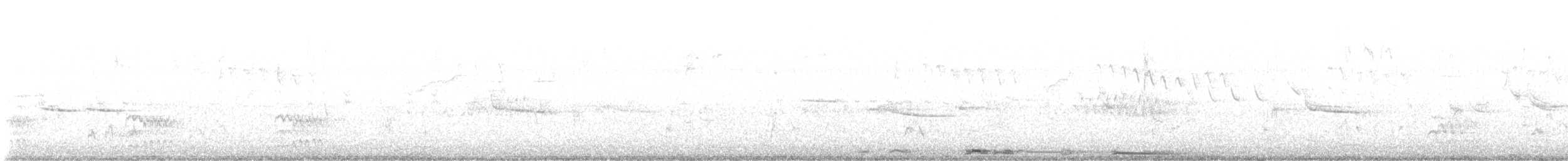 Белокрылая горлица - ML548065351