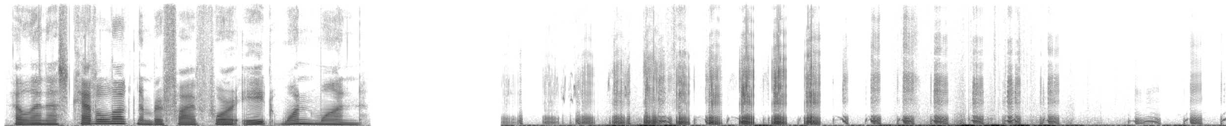 Schneeeule - ML54811