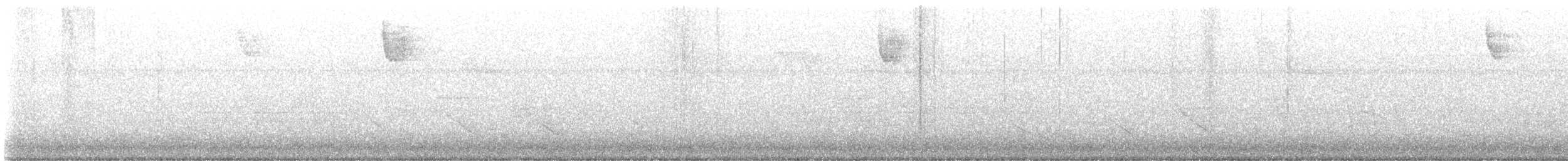 斑文鳥 - ML548142621