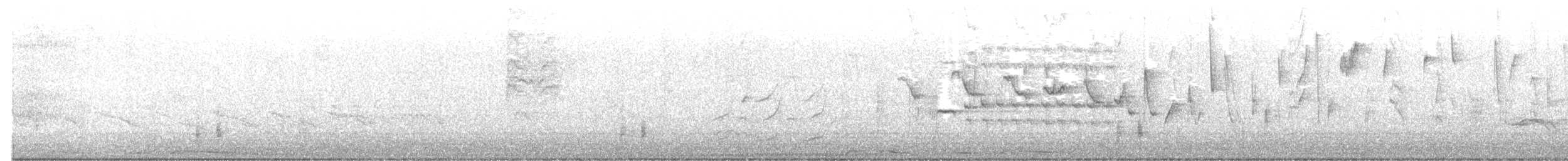 Трясогузковый певун - ML548150131