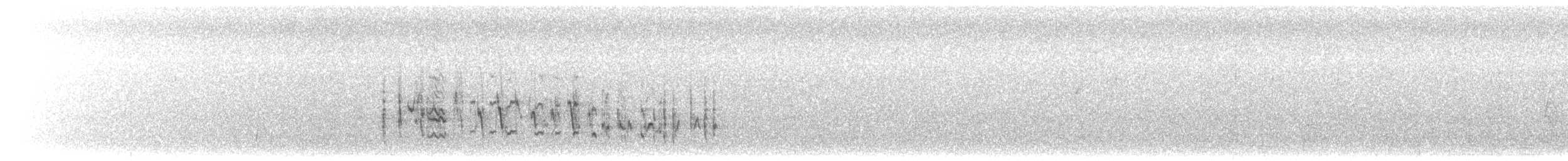 Troglodyte de Latham - ML548158221