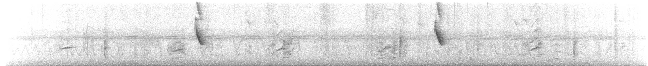 svarthodevever - ML548161531