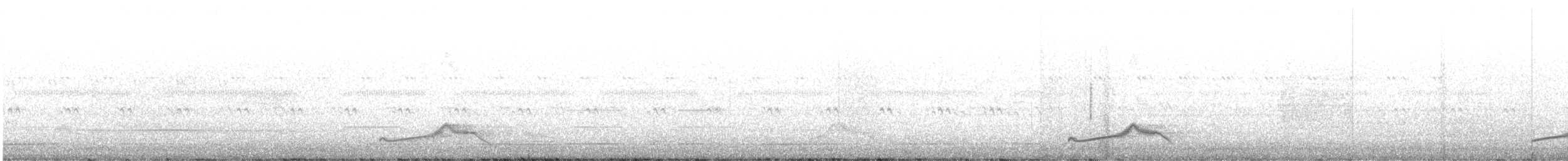 Pauraquenachtschwalbe - ML548171241