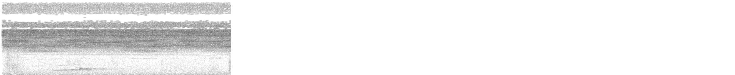 Puntarenas Screech-Owl (undescribed form) - ML548201751