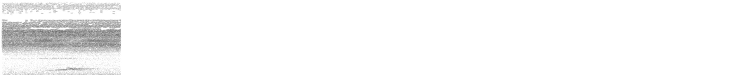 Puntarenas Screech-Owl (undescribed form) - ML548202501