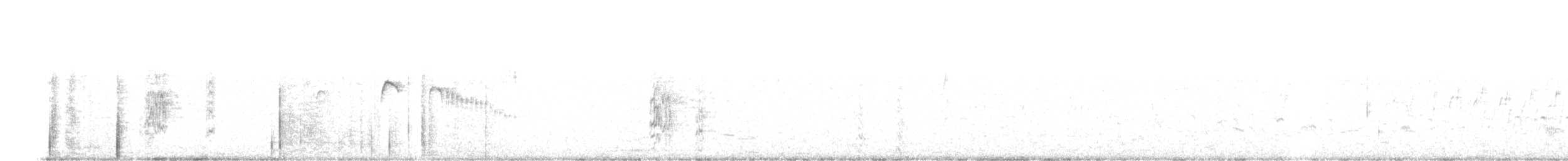 Grauscheitel-Kleintyrann - ML548217581