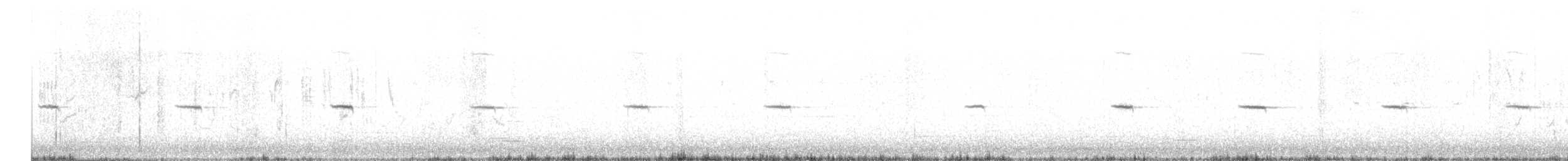 Зулбаран гургалдай - ML548234161