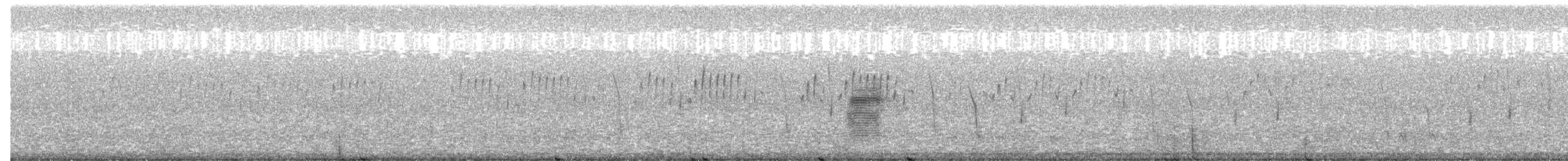 American Woodcock - ML548301431