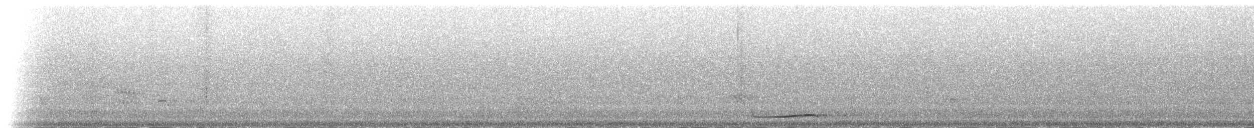 Тихоокеанский коэль (cyanocephalus/subcyanocephalus) - ML54836721