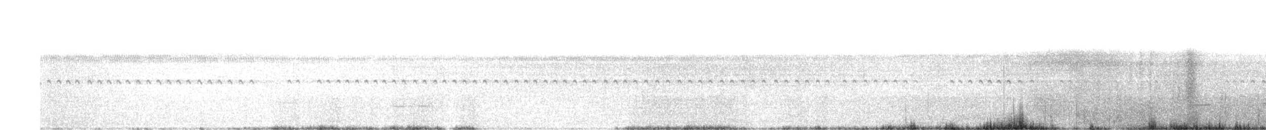Striped Cuckoo - ML548368691